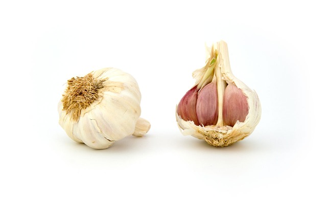 garlic-1808_640 (1)